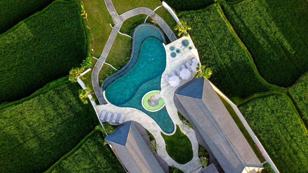 Villa Paradise By Balisuperhost Ubud  Ngoại thất bức ảnh