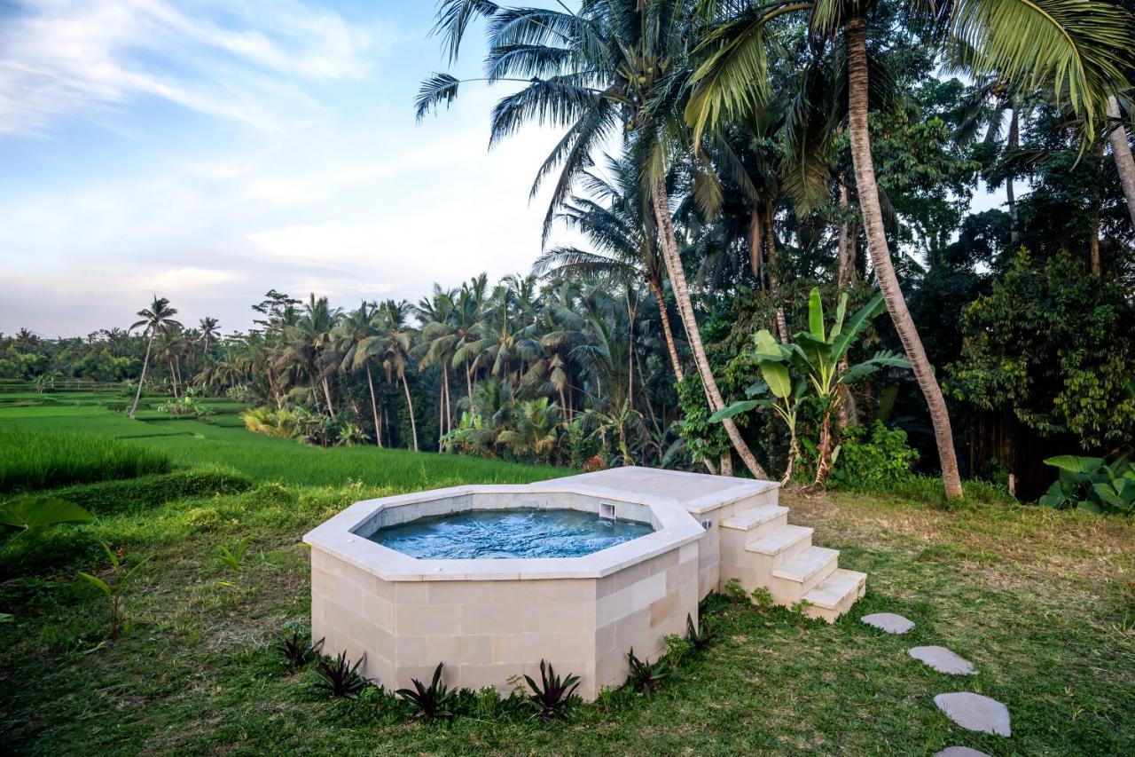 Villa Paradise By Balisuperhost Ubud  Ngoại thất bức ảnh